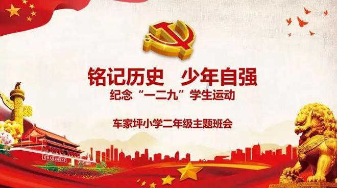 逃离金刚鹦鹉森林